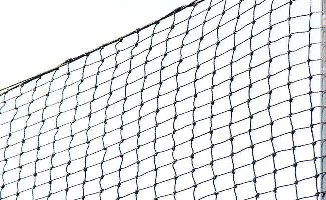 02.webp